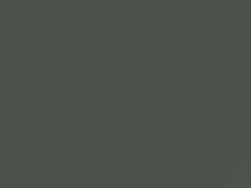 Solid dark gray color swatch