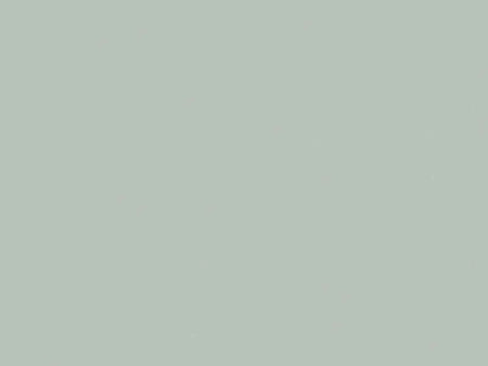 Solid light gray color swatch
