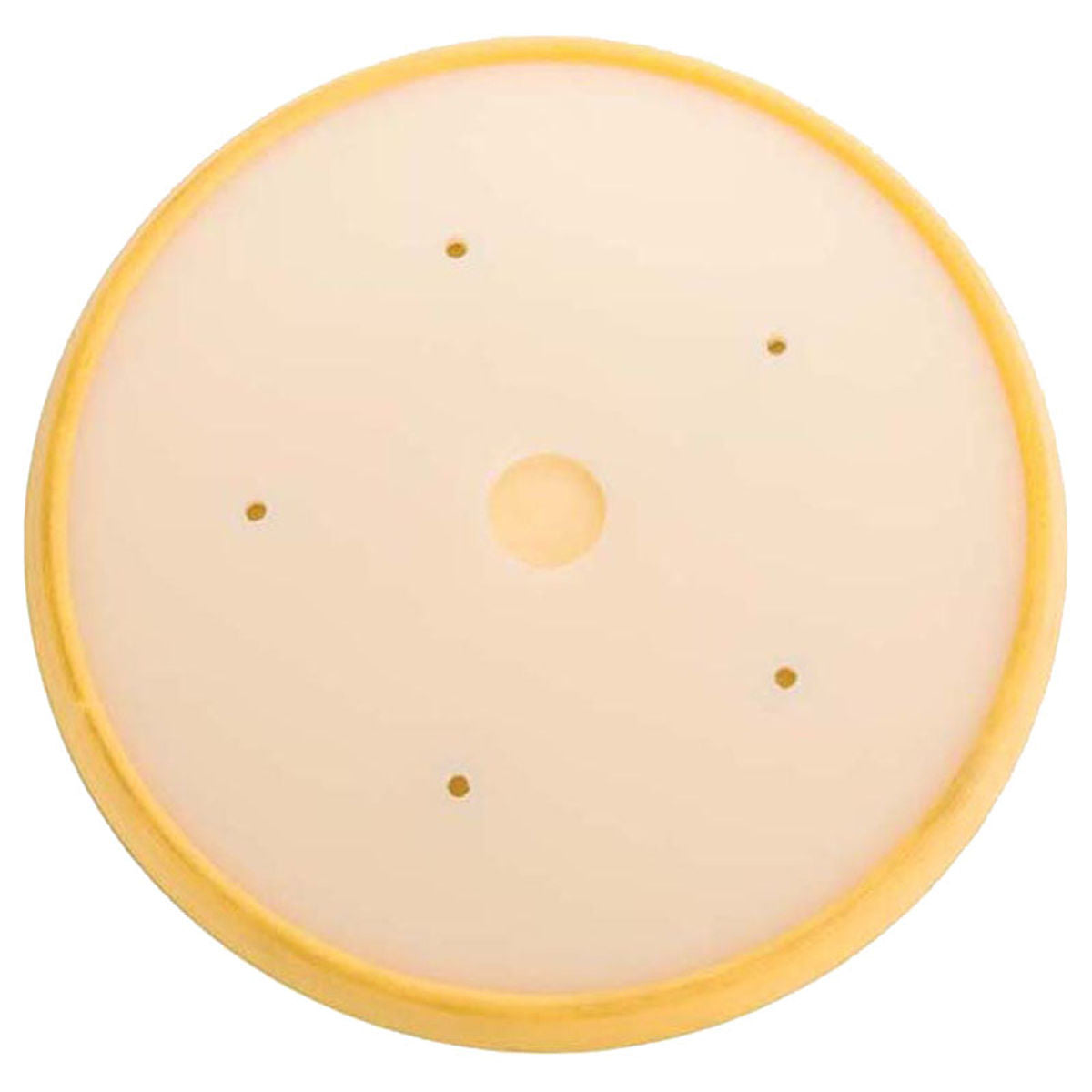 Mirka Backup Pad 8 in PSA 5H Mount, 1/Pkg