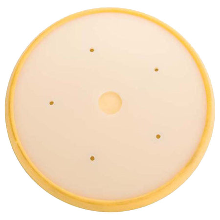 Mirka Backup Pad 8 in PSA 5H Mount, 1/Pkg