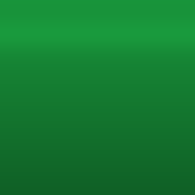 Automotive Touch Up Paint Isuzu Sunbelt Green 989