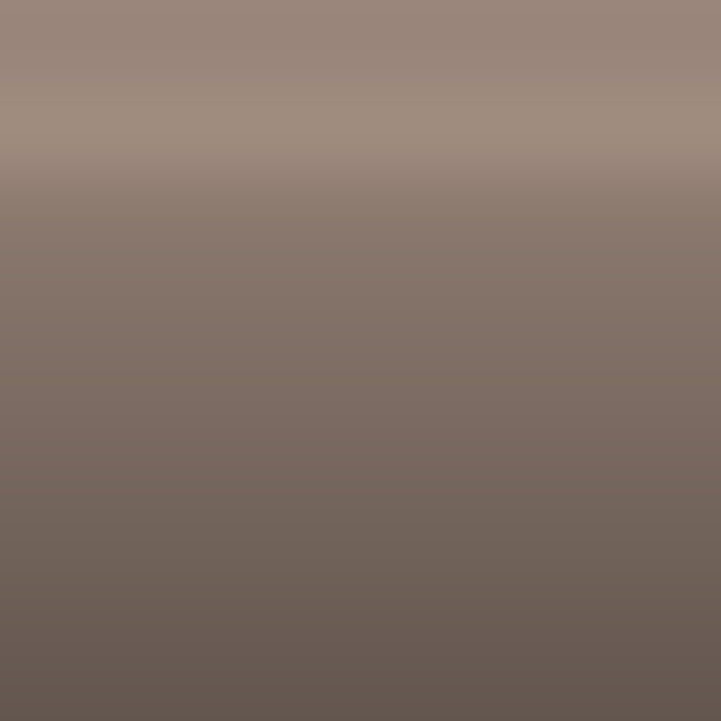 Automotive Touch Up Paint Volvo Brown Metallic 205
