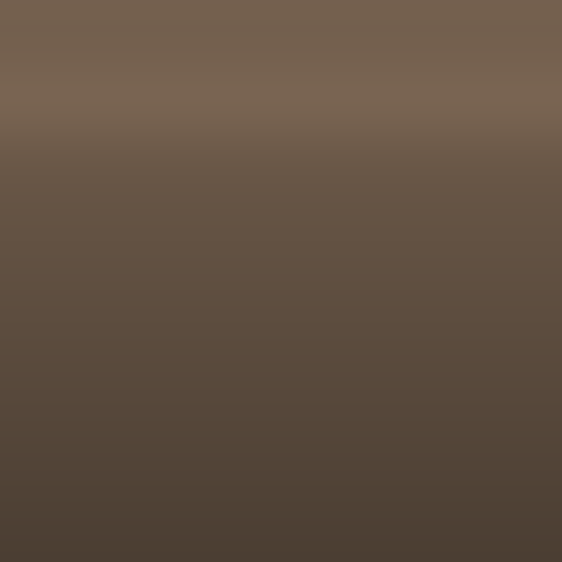 Automotive Touch Up Paint Volvo Terra Bronze Metallic 494