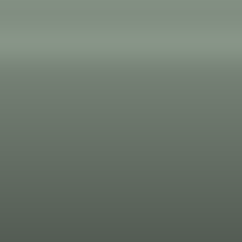 Automotive Touch Up Paint Volvo Light Green Metallic 302