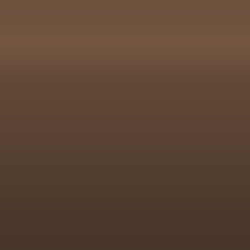 Automotive Touch Up Paint Volvo Dark Brown Metallic 180