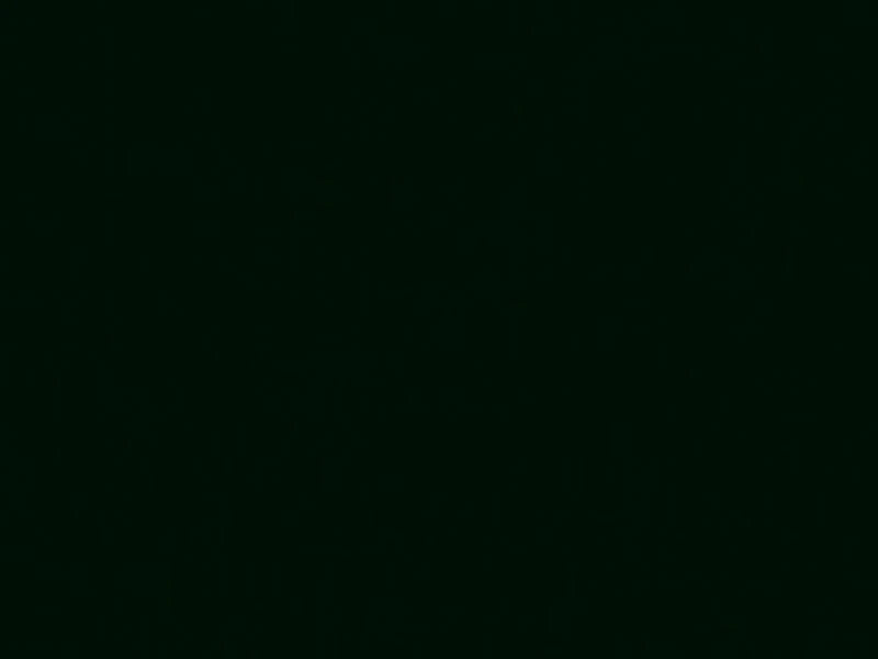 Solid black color swatch