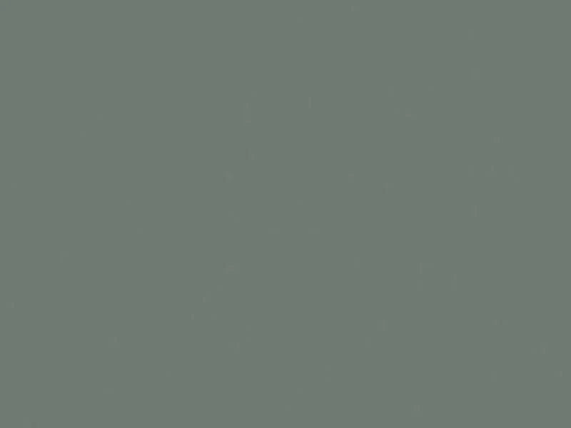 Solid gray color swatch