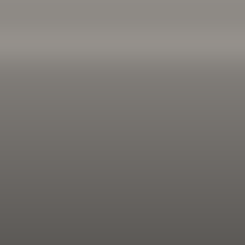 Automotive Touch Up Paint Volvo Terra Gray Metallic 357