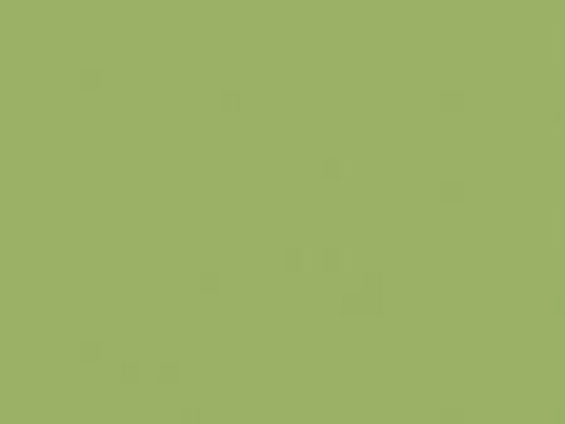 Solid light green color swatch