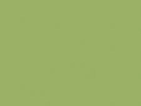 Solid light green color swatch