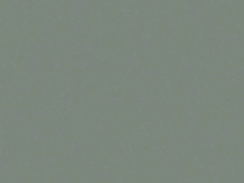 Solid light gray color swatch