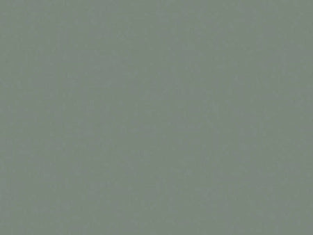 Solid light gray color swatch