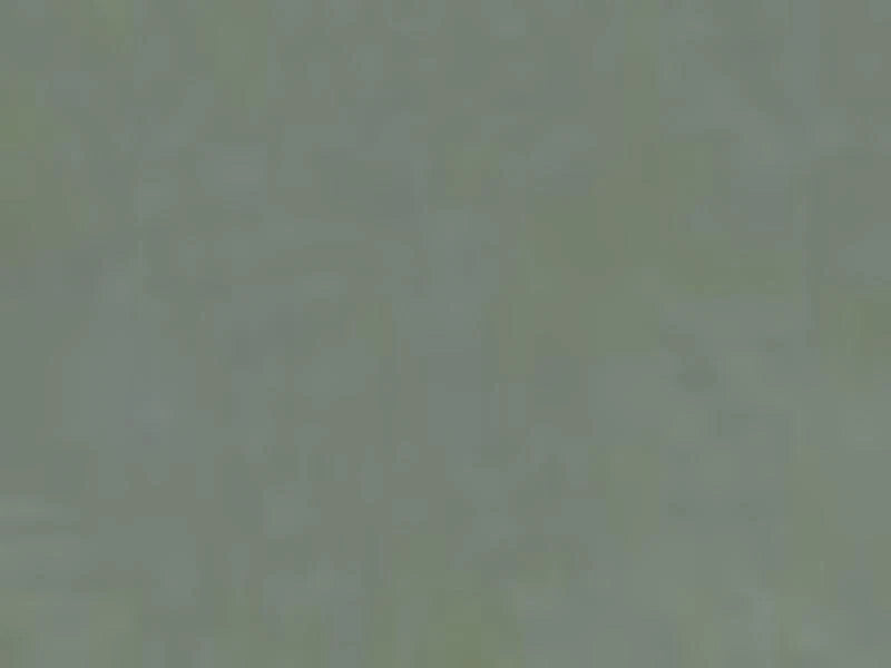 Solid light green color swatch