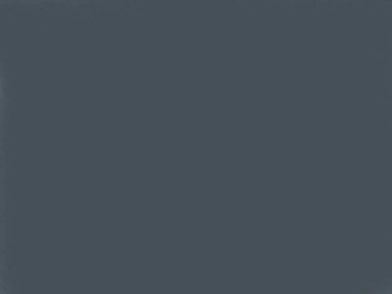 Solid dark gray color swatch