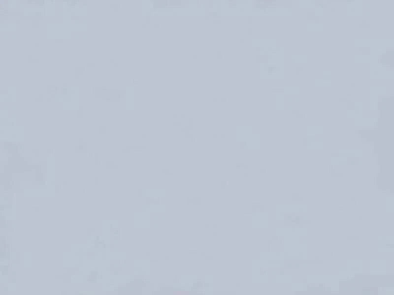 Solid light gray color swatch