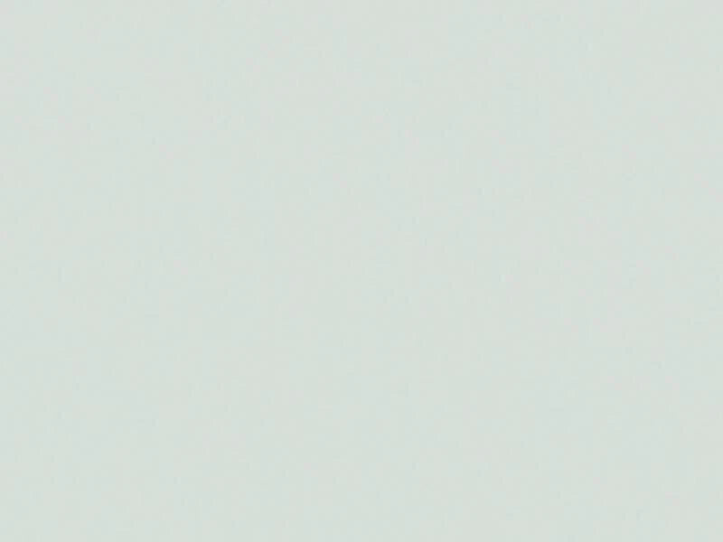 Solid light gray color swatch