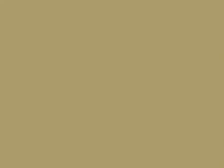 Solid beige color swatch