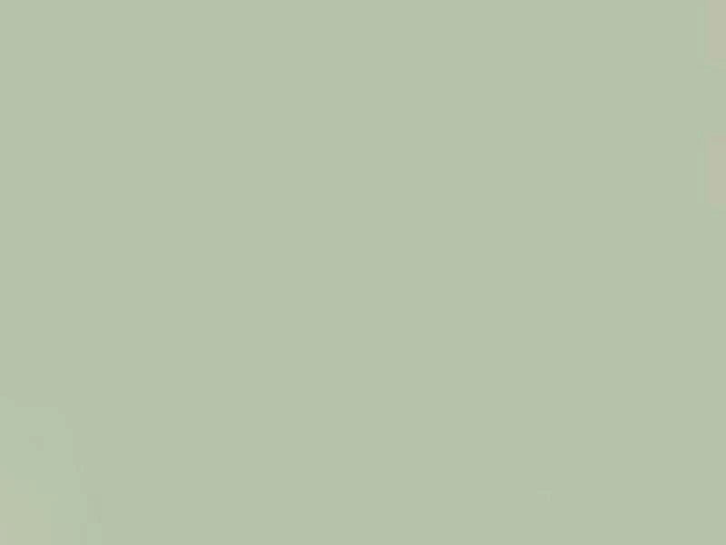 Solid light gray color swatch