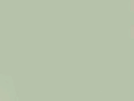 Solid light gray color swatch