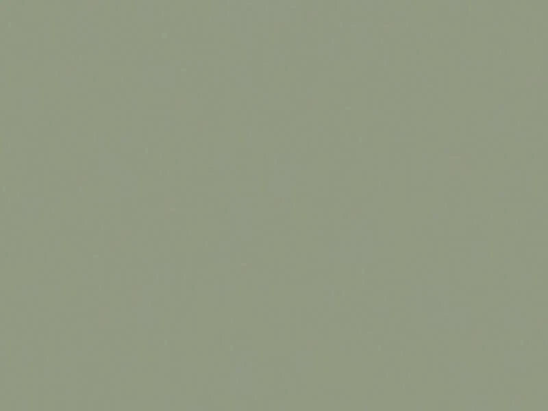 Solid light gray color swatch