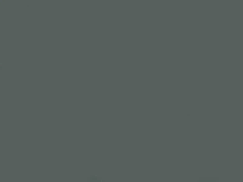 Solid gray color swatch