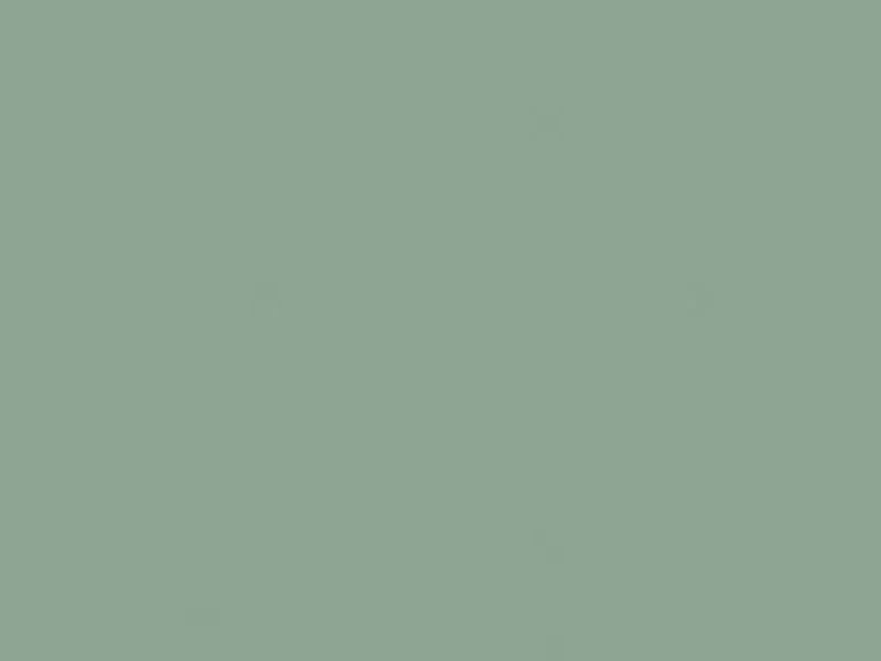 Solid green color swatch