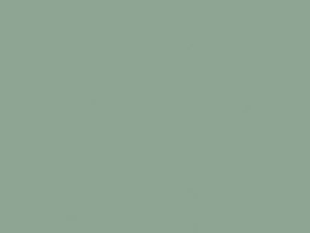 Solid green color swatch