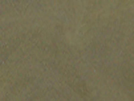 Solid green color swatch