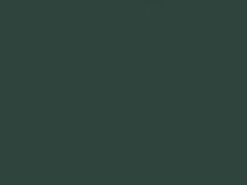 Solid green color swatch