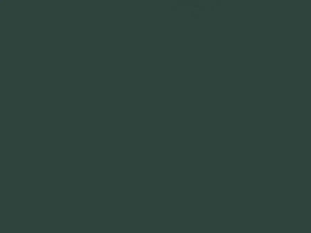 Solid green color swatch