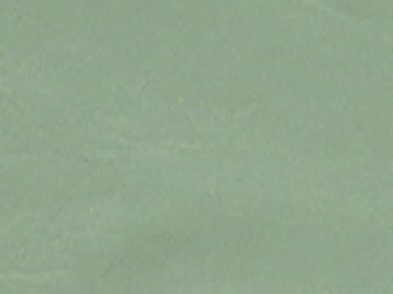 Solid light green color swatch