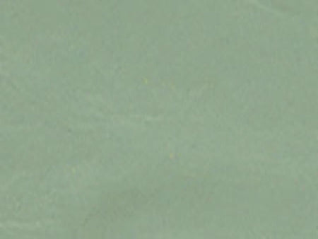 Solid light green color swatch