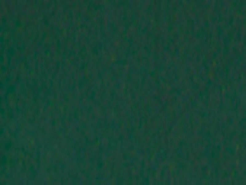 Solid dark green color swatch