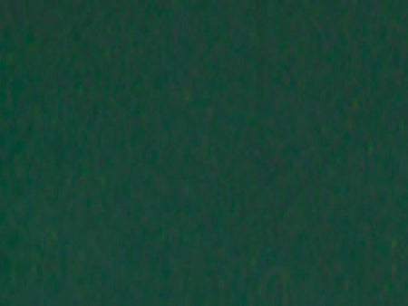 Solid dark green color swatch