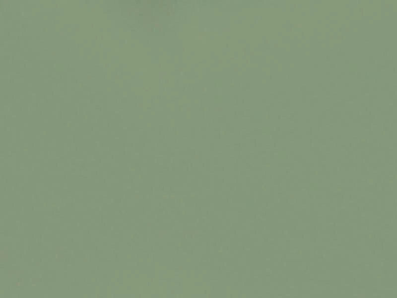 Solid green color swatch