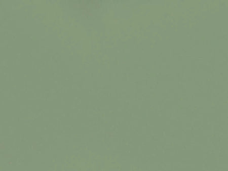 Solid green color swatch