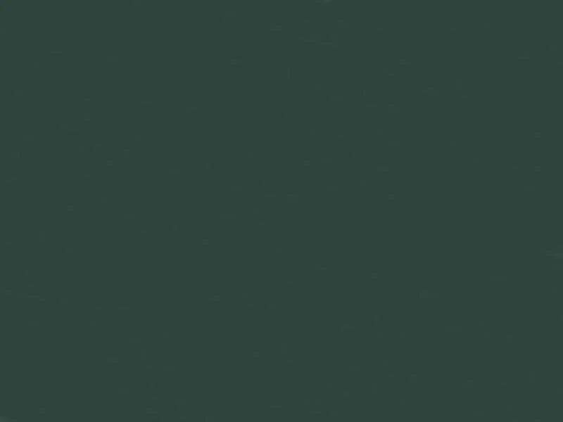 Solid light green color swatch