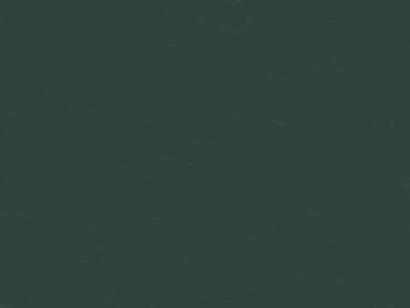 Solid light green color swatch