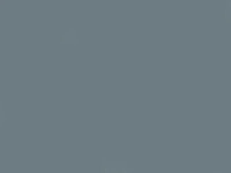 Solid dark gray color swatch