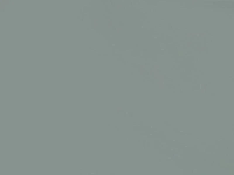 Solid light gray color swatch