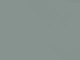 Solid light gray color swatch
