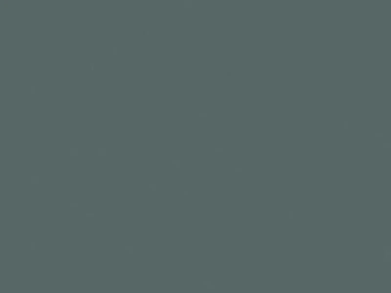Solid dark gray color swatch