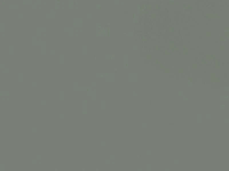 Solid gray color swatch