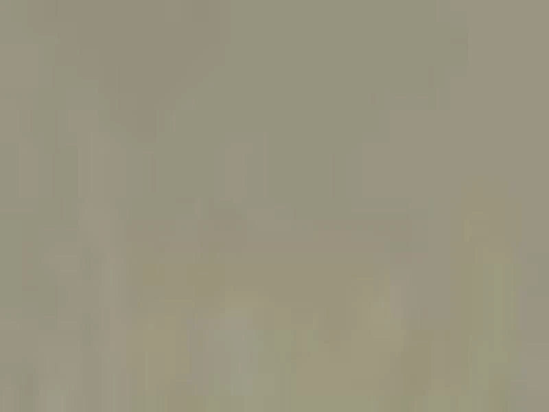 Solid light brown color swatch