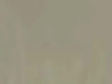 Solid light brown color swatch