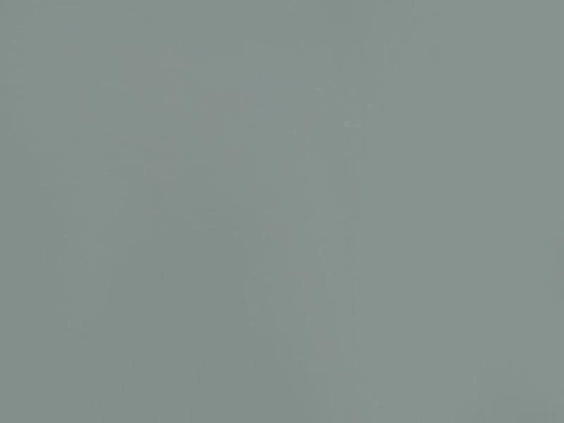 Solid light gray color swatch