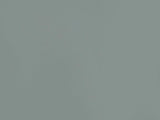 Solid light gray color swatch