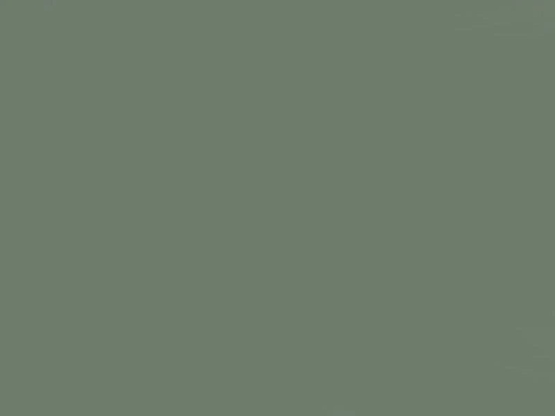 Solid dark gray color swatch