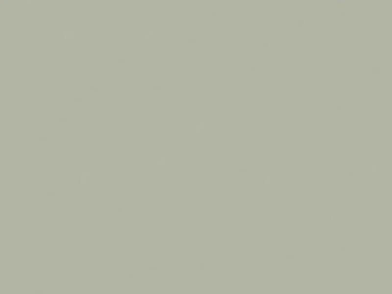Solid light gray color swatch