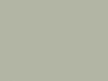 Solid light gray color swatch